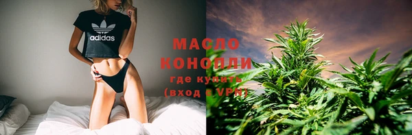 спиды Вяземский