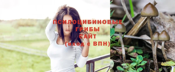 спиды Вяземский