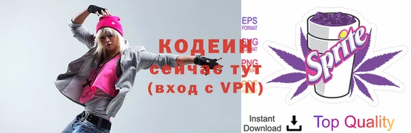 спиды Вяземский