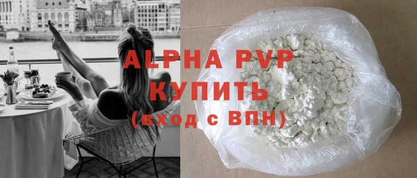 спиды Вяземский