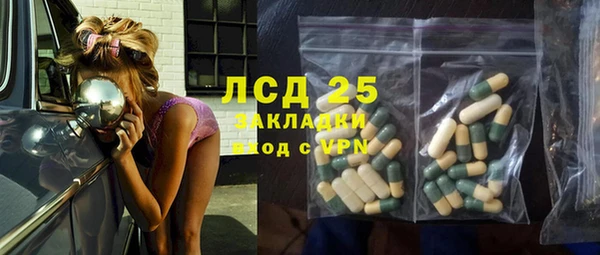 спиды Вяземский