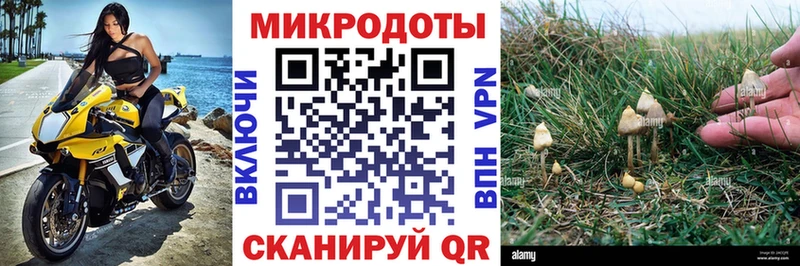 Псилоцибиновые грибы Psilocybe как найти закладки Игра